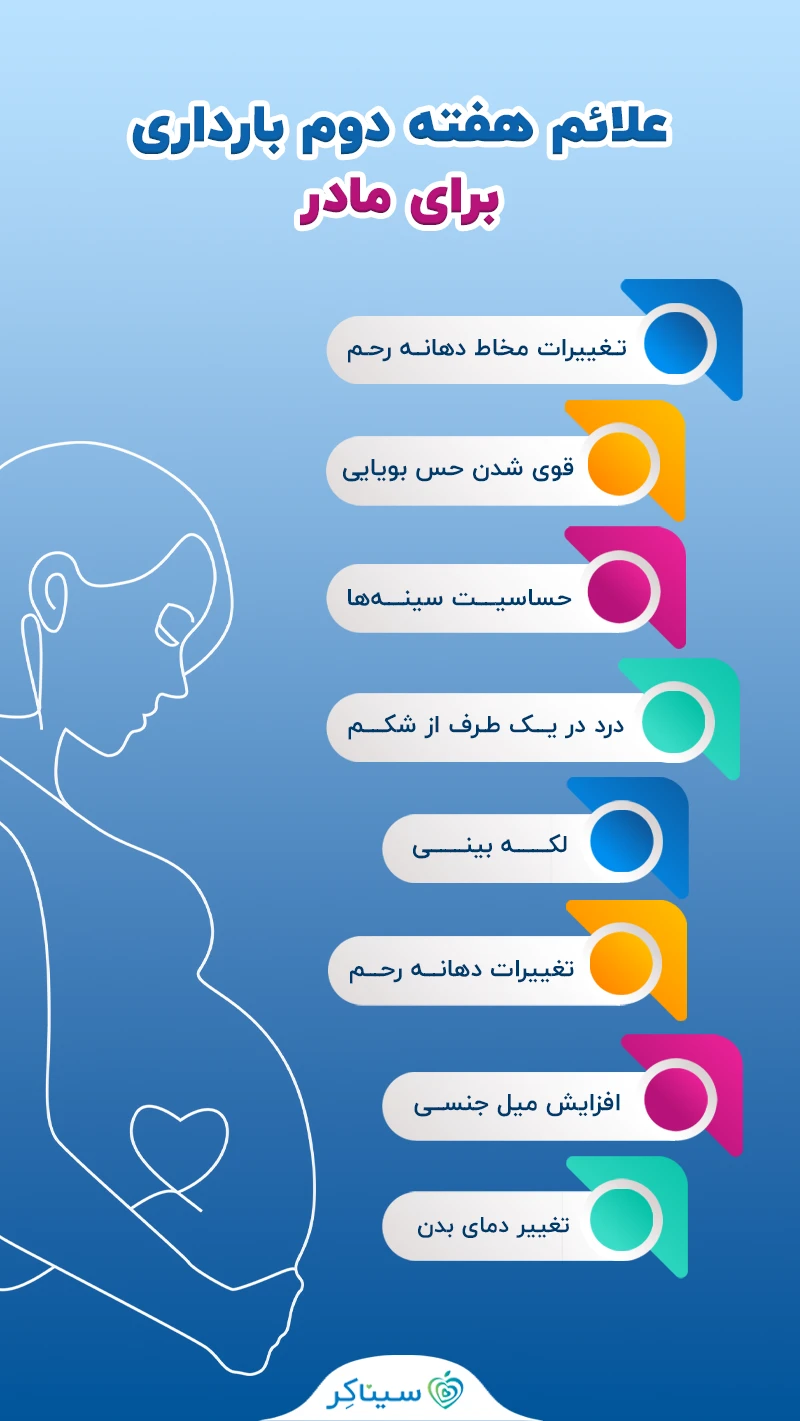 علائم، وضعیت مادر و 14 مراقبت لازم در هفته دوم بارداری | سیناکر