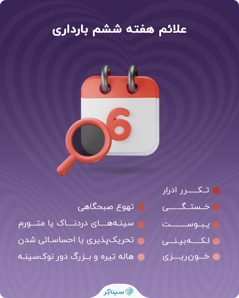 علائم هفته ششم بارداری