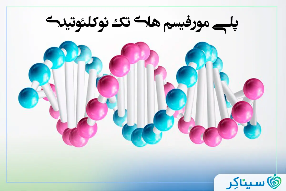 پلی­ مورفیسم­ های تک ­نوکلئوتیدی