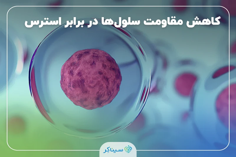 تأثیر ژن‌های خطر دیابت بر کاهش مقاومت سلول‌ها در برابر استرس