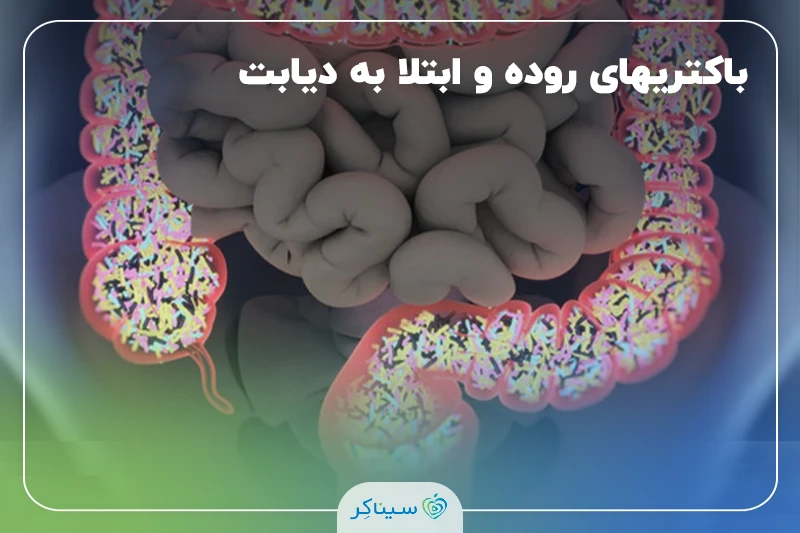 تاثیر باکتری­های روده و اسیدهای چرب در ابتلا به دیابت