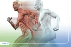 بررسی و ثبت داده‌های اسکلتی–عضلانی برای تحلیل و گزارش در سیناکر