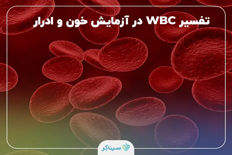 مقدار نرمال WBC و تشخیص عفونت در آزمایش خون و ادرار