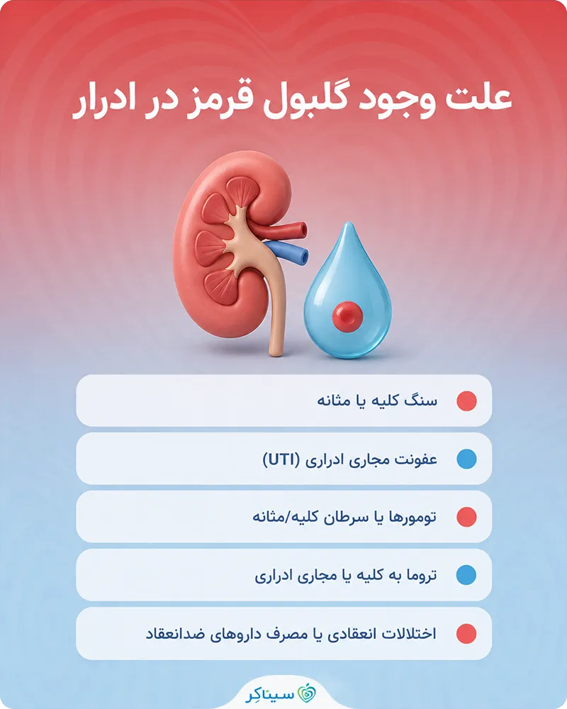 بررسی علت وجود گلبول قرمز در ادرار (هماتوری)